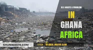 Ghana's E-Waste Crisis: Uncovering the Environmental and Health Impacts