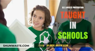 Teaching E-Waste Prevention: Are Schools Equipping Students for a Sustainable Future?