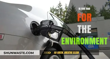 E85 Fuel: Environmental Impact and Sustainability Concerns Explained
