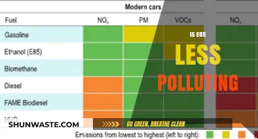 E85 Fuel: Cleaner Energy or Greenwashing?
