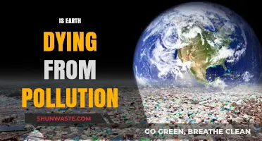 The Earth's Pollution Problem: Is Our Planet Dying?