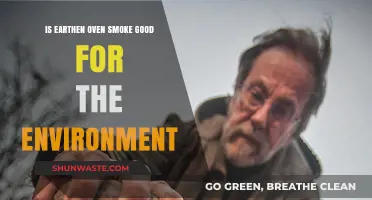 Earthen Oven Smoke: Eco-Friendly or Environmental Hazard?