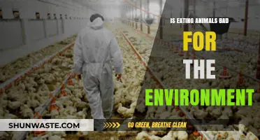 Environmental Impact of Eating Animals: A Sustainable Diet Dilemma Explored