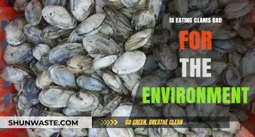 Are Clams Eco-Friendly? Environmental Impact of Clam Consumption Explored