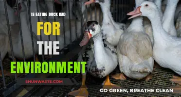 Is Duck Consumption Eco-Friendly? Exploring Its Environmental Impact