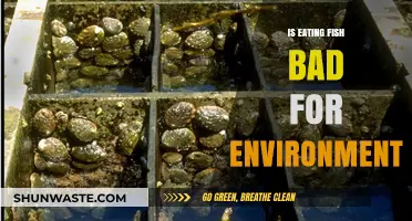 Is Eating Fish Harming Our Planet? Environmental Impact Explored