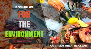 Is Eating Fish Eco-Friendly? Exploring the Environmental Impact of Seafood