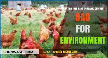 Is Free-Range Organic Chicken Eco-Friendly or Environmentally Harmful?