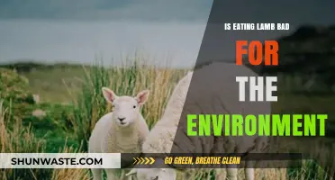 Is Lamb Consumption Harming Our Planet? Environmental Impact Explored