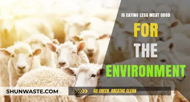 Reducing Meat Consumption: A Sustainable Choice for Our Planet's Future