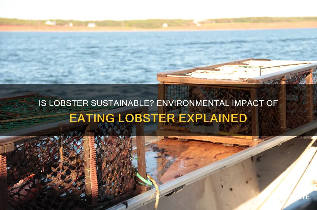 is eating lobster bad for the environment