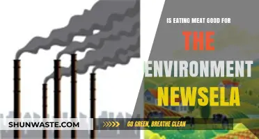 Is Eating Meat Environmentally Sustainable? Exploring the Impact and Newsela Insights