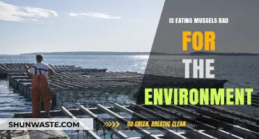 Are Mussels Eco-Friendly? Uncovering Their Environmental Impact and Sustainability
