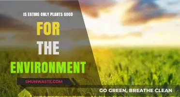 Plant-Based Diets: Environmental Impact and Sustainable Food Choices