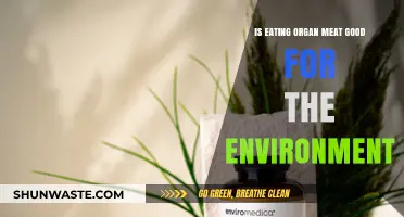 Organ Meat: Eco-Friendly Superfood or Environmental Myth?