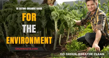 Is Organic Food Truly Eco-Friendly? Exploring Its Environmental Impact