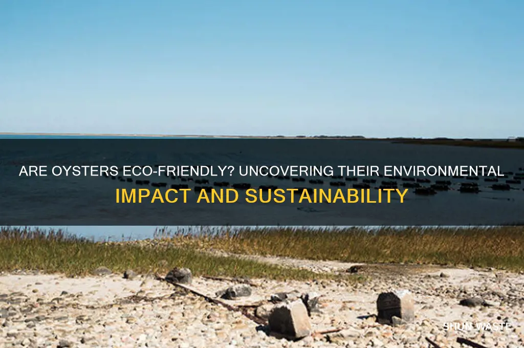 is eating oysters bad for the environment