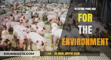 Is Pork Eco-Friendly? Uncovering the Environmental Impact of Pig Farming