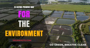 Prawns and the Planet: Uncovering the Environmental Impact of Shrimp Farming