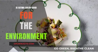 Is Eating Salad Eco-Friendly? Uncovering the Environmental Impact of Greens