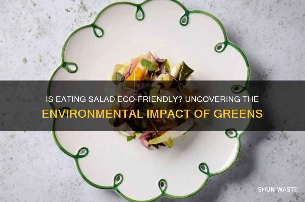 is eating salad good for the environment