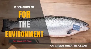 Is Salmon Sustainable? Environmental Impact of Eating Salmon Explained
