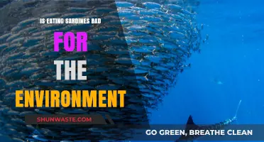Sardines and Sustainability: Are They an Eco-Friendly Food Choice?