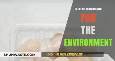 Scallops and Sustainability: Environmental Impact of Your Seafood Choice