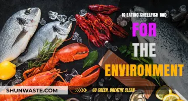 Shellfish Sustainability: Environmental Impact of Seafood Consumption Explained