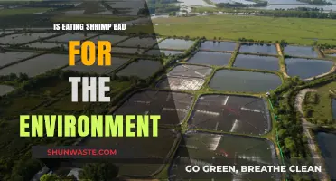 Shrimp's Environmental Impact: Sustainable Seafood or Ecological Disaster?