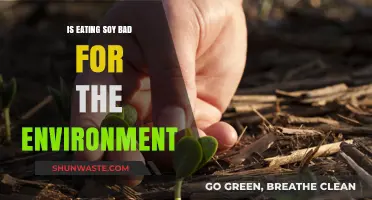 Soy's Environmental Impact: Sustainable Protein or Ecological Concern?