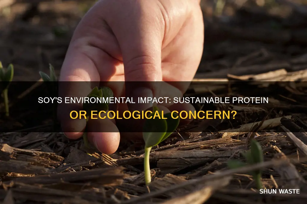 is eating soy bad for the environment