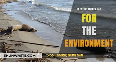 Turkey's Environmental Impact: Sustainable Choice or Eco-Unfriendly Feast?