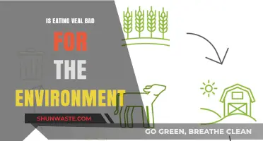 Veal's Environmental Impact: Sustainable Choice or Ecological Concern?