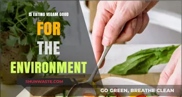 Is a Vegan Diet Environmentally Friendly? Exploring the Green Impact
