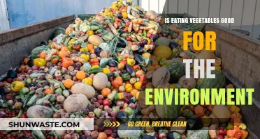 Eating Vegetables: A Sustainable Choice for Our Planet's Health