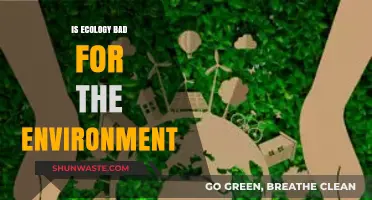 Is Ecology Harmful? Debunking Myths About Environmental Impact