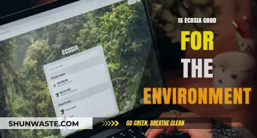 Is Ecosia Truly Eco-Friendly? Exploring Its Environmental Impact and Benefits