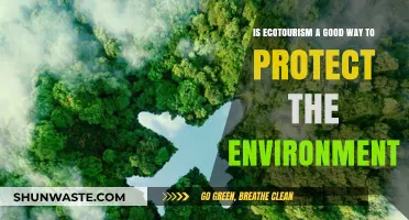 Ecotourism's Environmental Impact: Sustainable Solution or Greenwashed Trend?