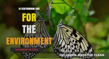 Ecotourism's Environmental Impact: Sustainable Solution or Hidden Harm?