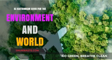 Ecotourism's Impact: Balancing Conservation, Communities, and Global Sustainability