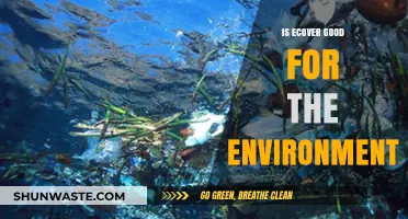 Is Ecover Eco-Friendly? Uncovering Its Environmental Impact and Benefits
