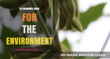 Edamame's Eco-Impact: Sustainable Superfood or Environmental Concern?