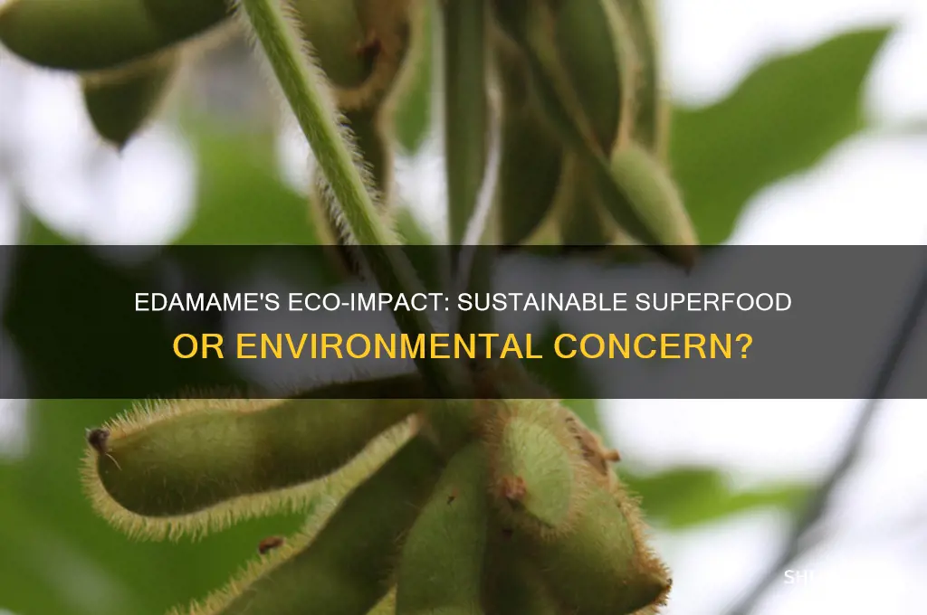 is edamame good for the environment