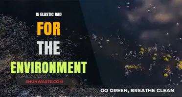 Elastic's Environmental Impact: Sustainable Choice or Eco-Friendly Myth?