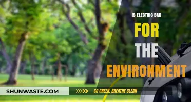 Electric Vehicles: Environmental Savior or Hidden Eco-Disaster?