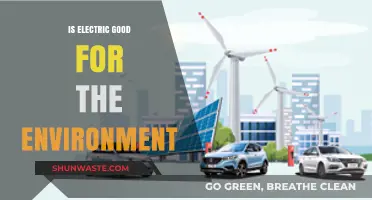 Electric Vehicles: Eco-Friendly Solution or Environmental Myth?