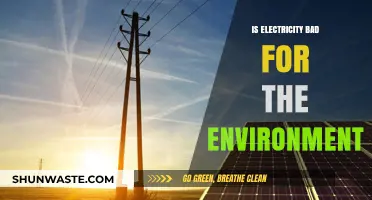 Electricity's Environmental Impact: Sustainable Solutions or Ecological Threat?