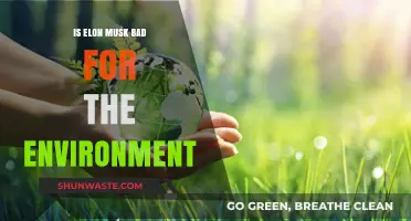 Elon Musk's Environmental Impact: Sustainable Innovator or Ecological Threat?