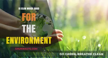Elon Musk's Environmental Impact: Sustainable Savior or Greenwashed Hype?